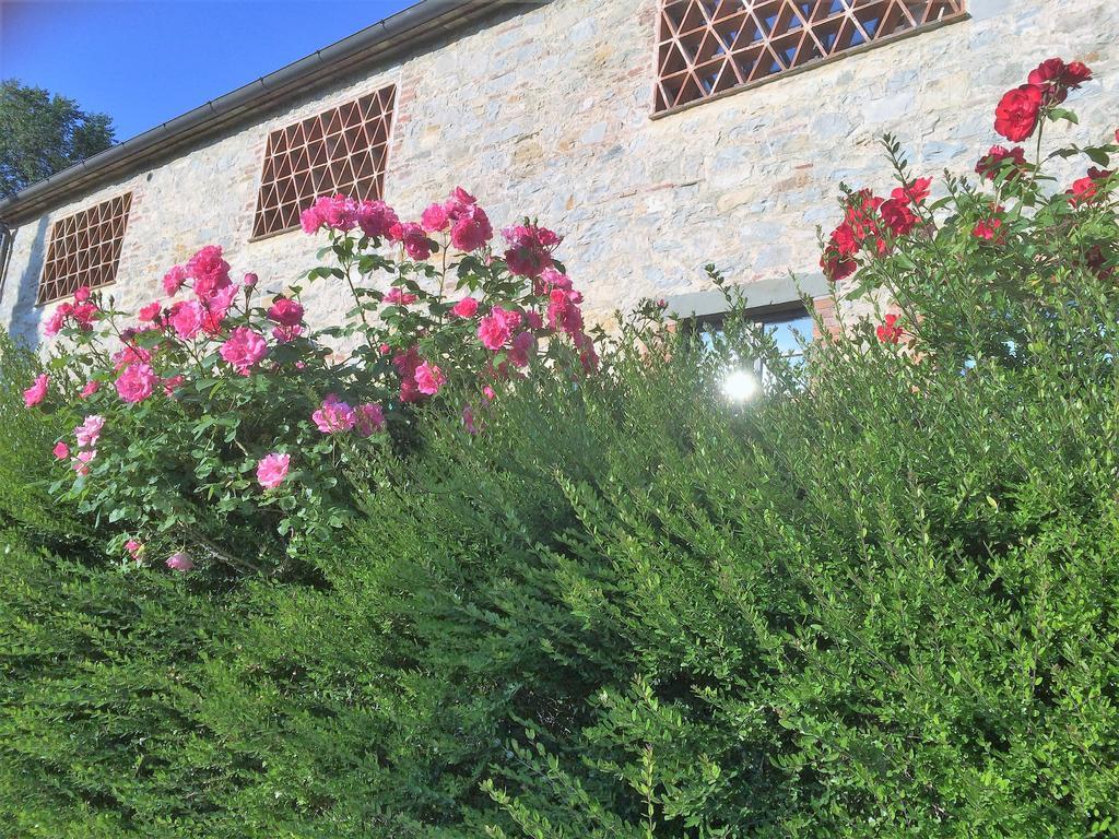 Residenzia Del Sogno Bed & Breakfast Castellina in Chianti Exterior photo